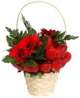 Frutto Red